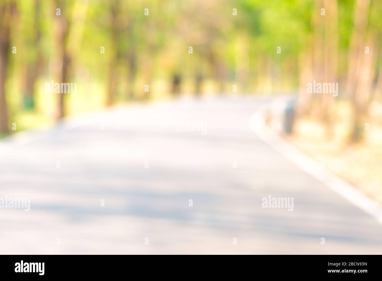 Abstract green blurred city park day light nature background Stock