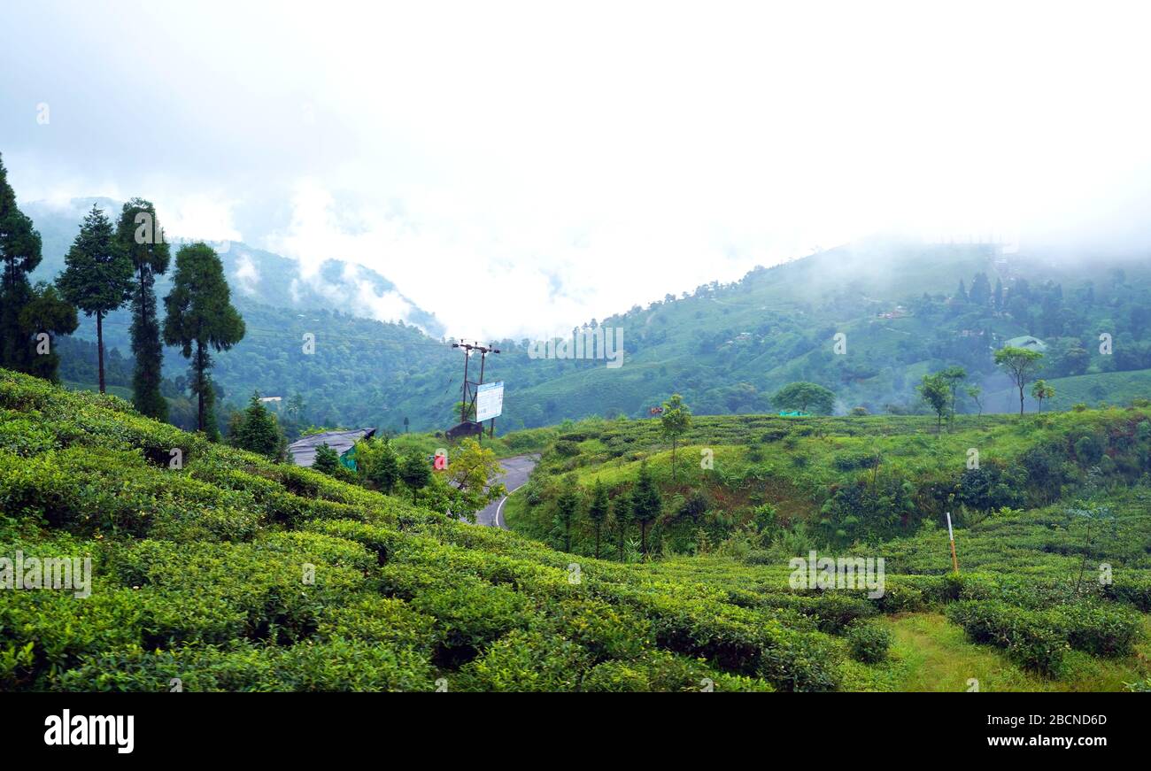 Rock garden darjeeling hi-res stock photography and images - Alamy