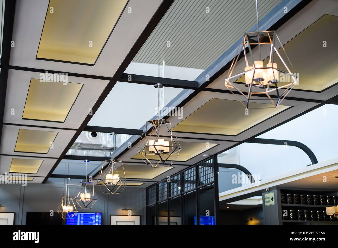 Modern black wire frame ceiling lamp interior lighting bulbs vintage