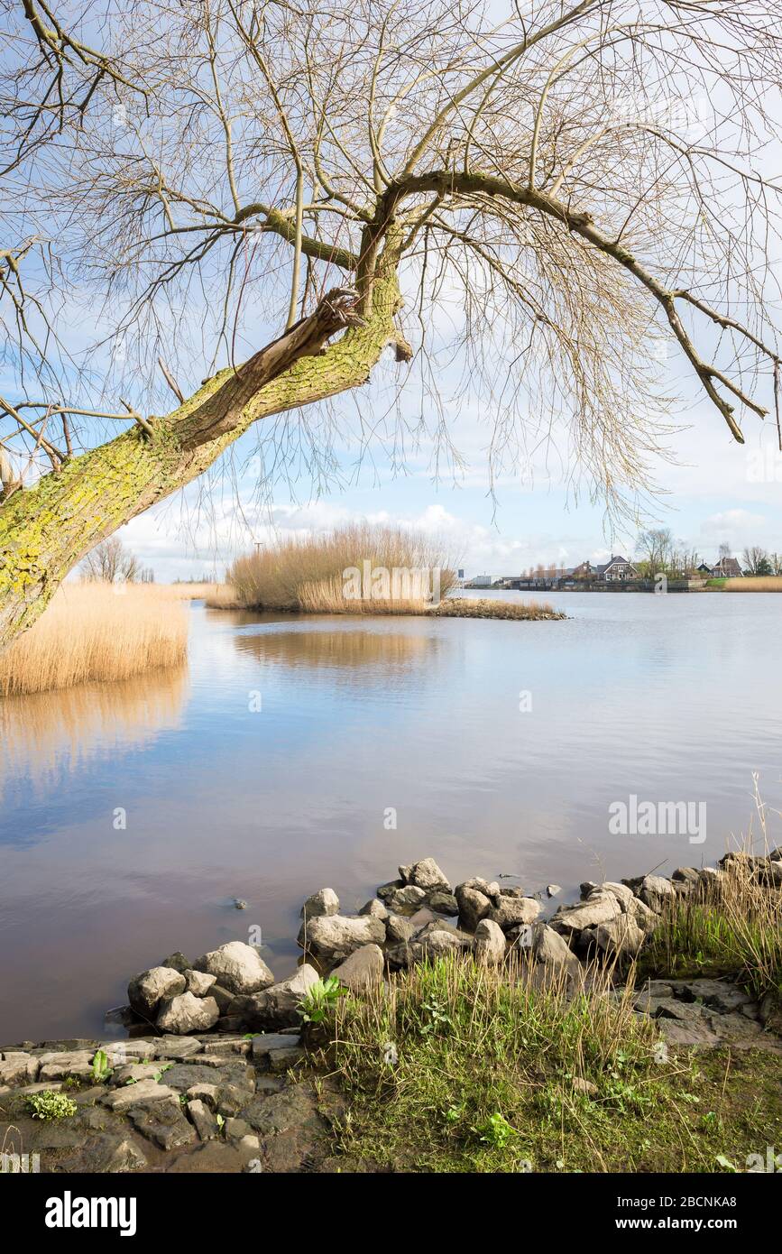 Beautiful view river ijssel hi-res stock photography and images - Alamy