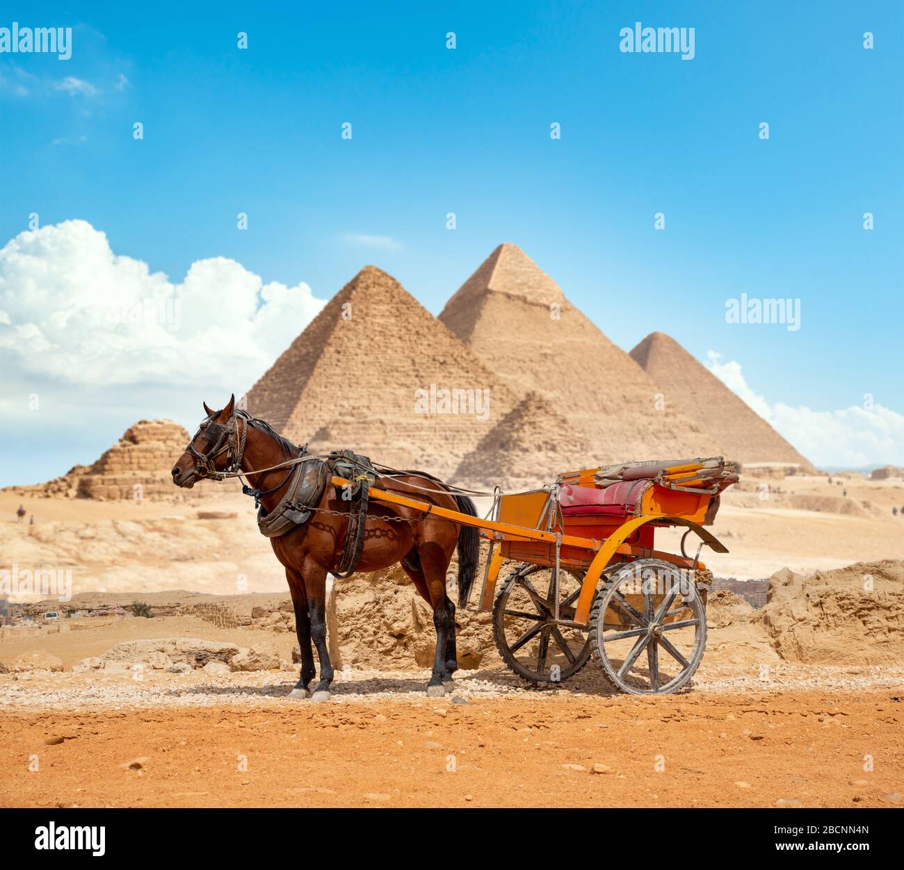 Horse on the background of the pyramids in Giza Stock Photo