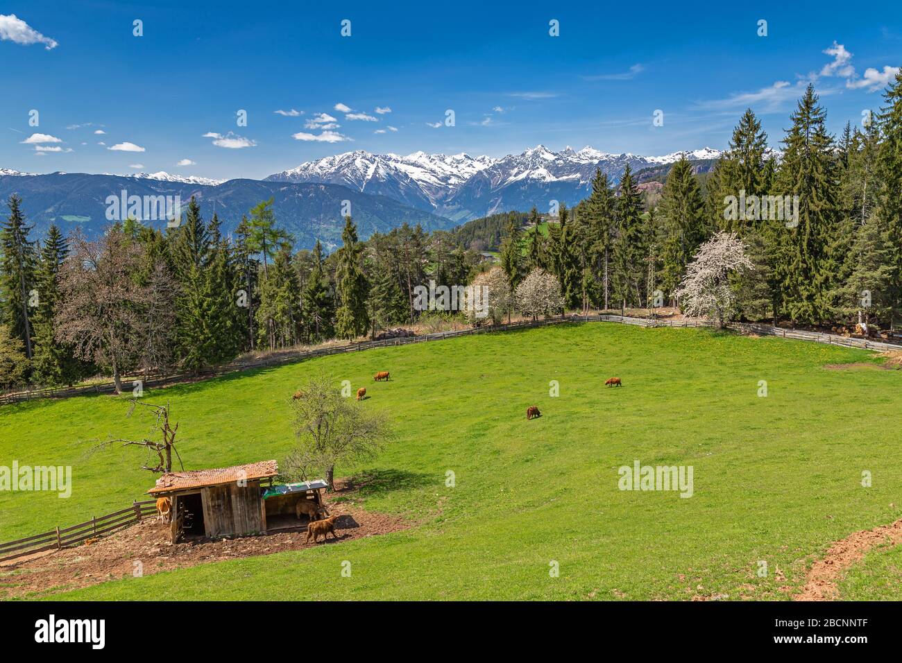 Verano hi-res stock photography and images - Alamy