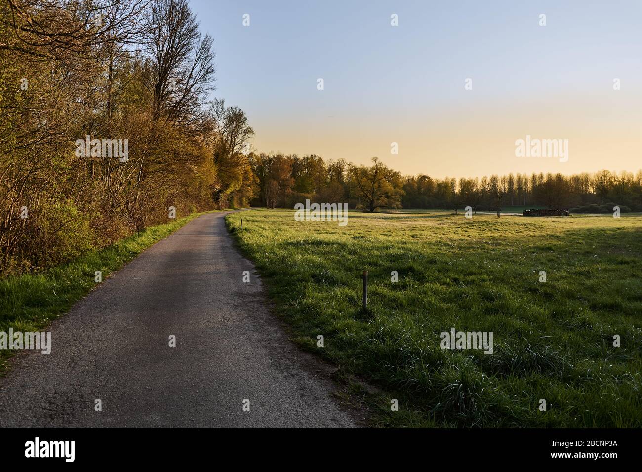 Scenic countryside landscape with grass, trees and a rural asphalt footpath during sunset Stock Photo