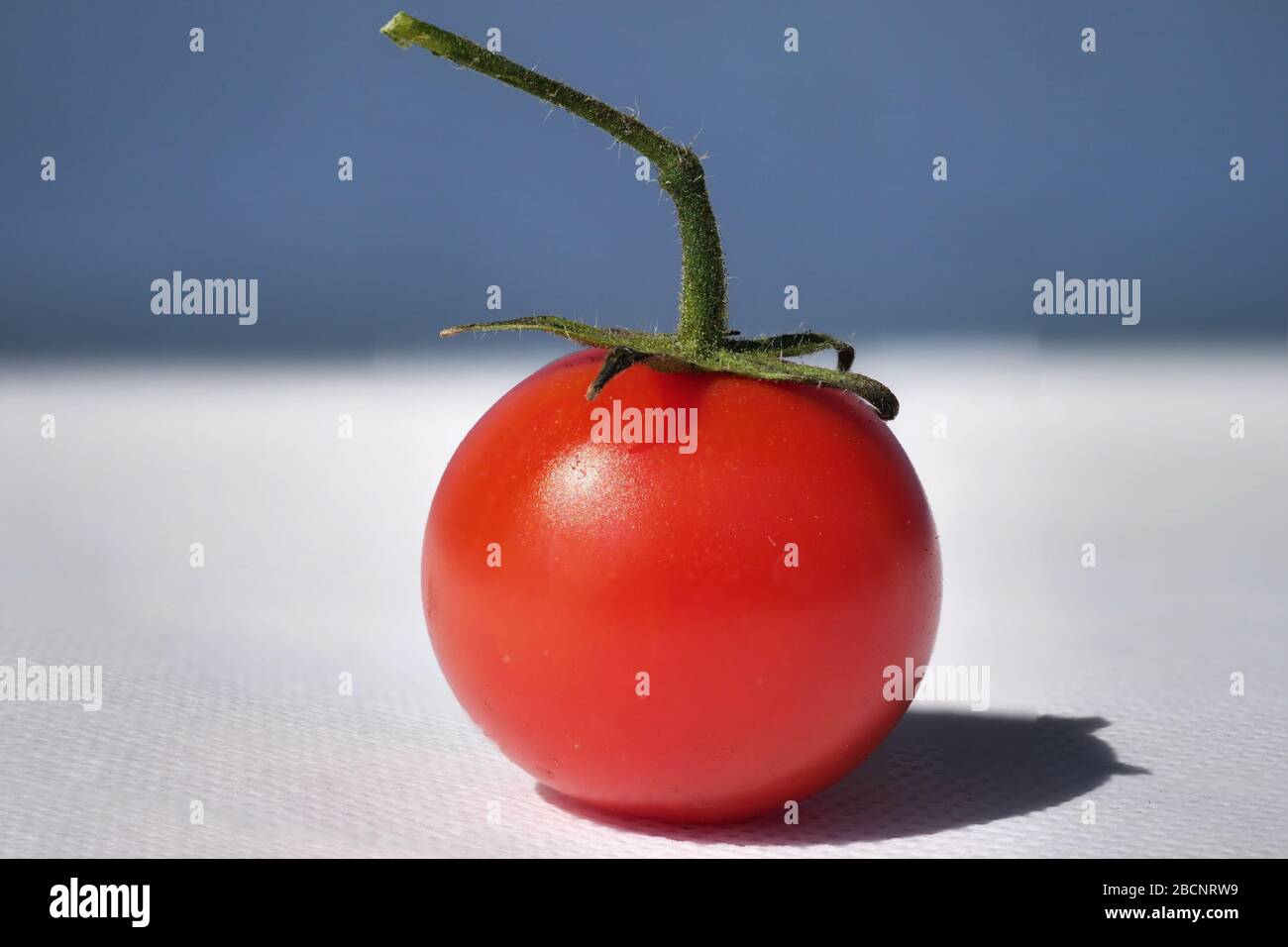 Tomato isolated on white background with clipping path Stock Photo - Alamy