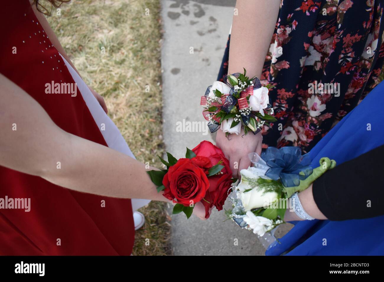 Corsage piture before Maple Mountain Sweetheart Dance Stock Photo