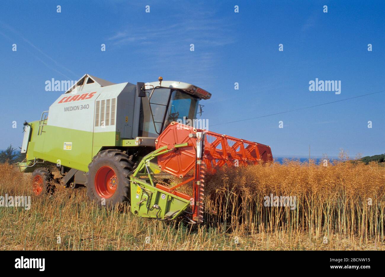 A rape field harvest Stock Photo - Alamy