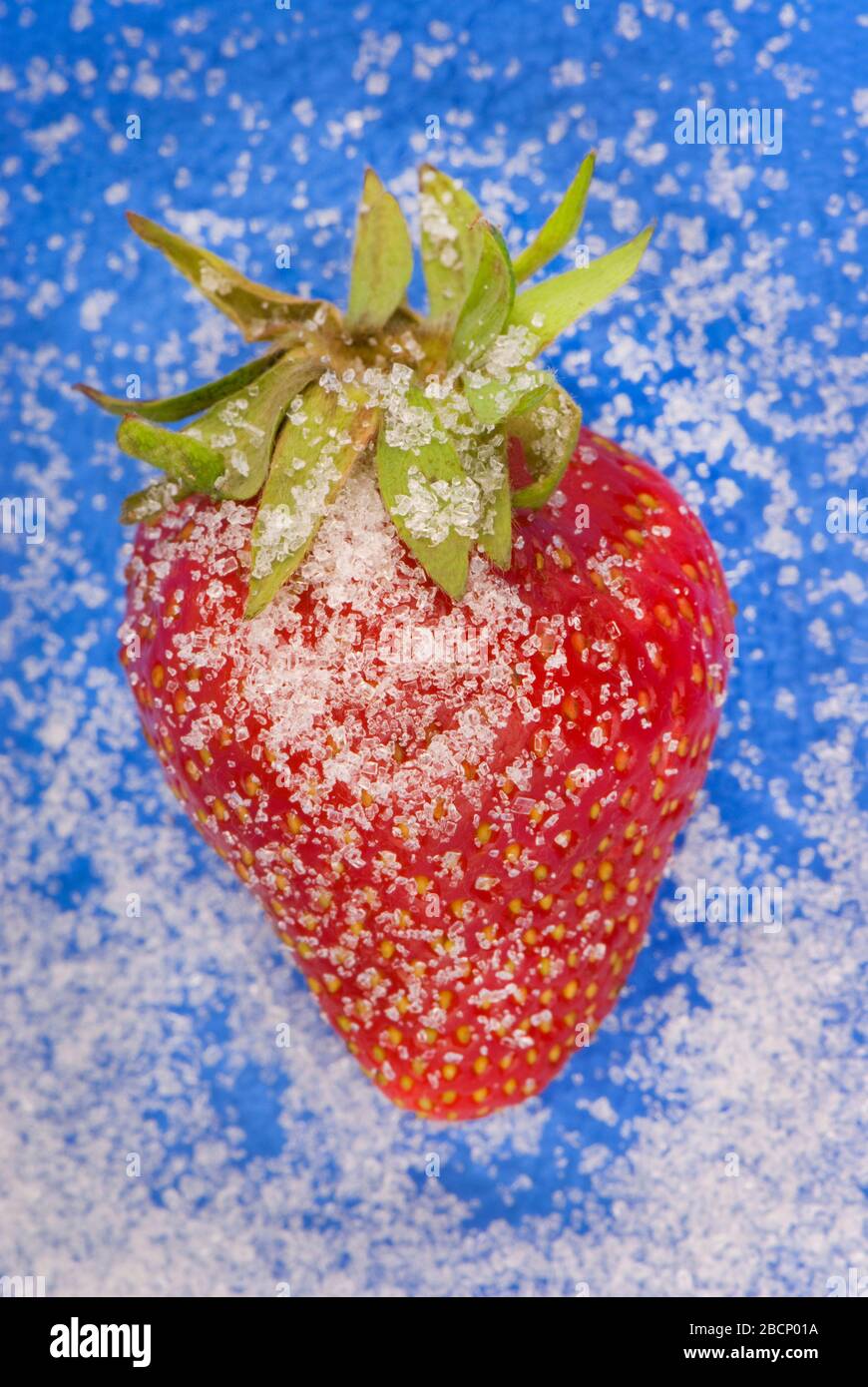 Strawberries on a blue background with sugar Stock Photo - Alamy
