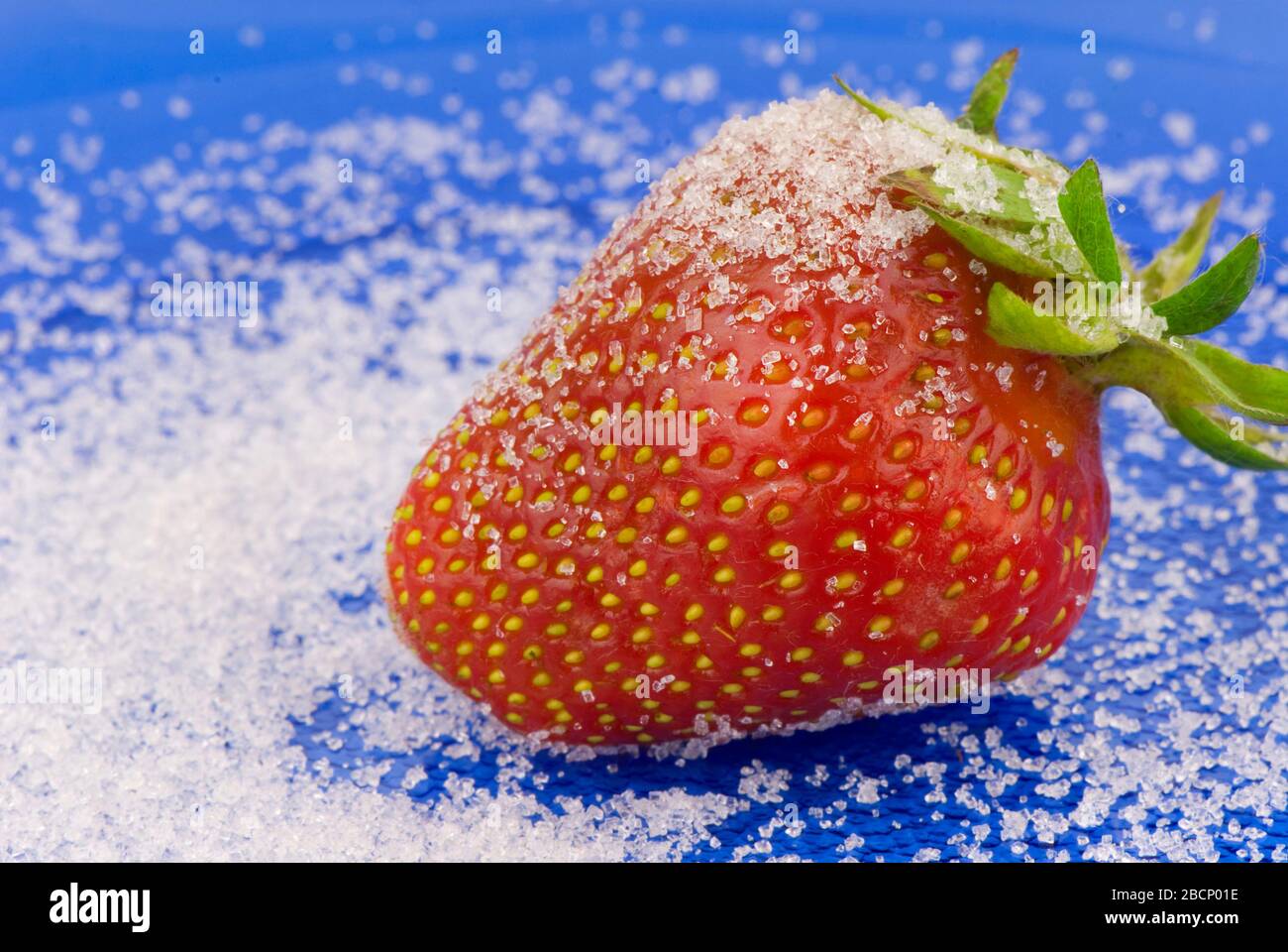 Strawberries on a blue background with sugar Stock Photo - Alamy