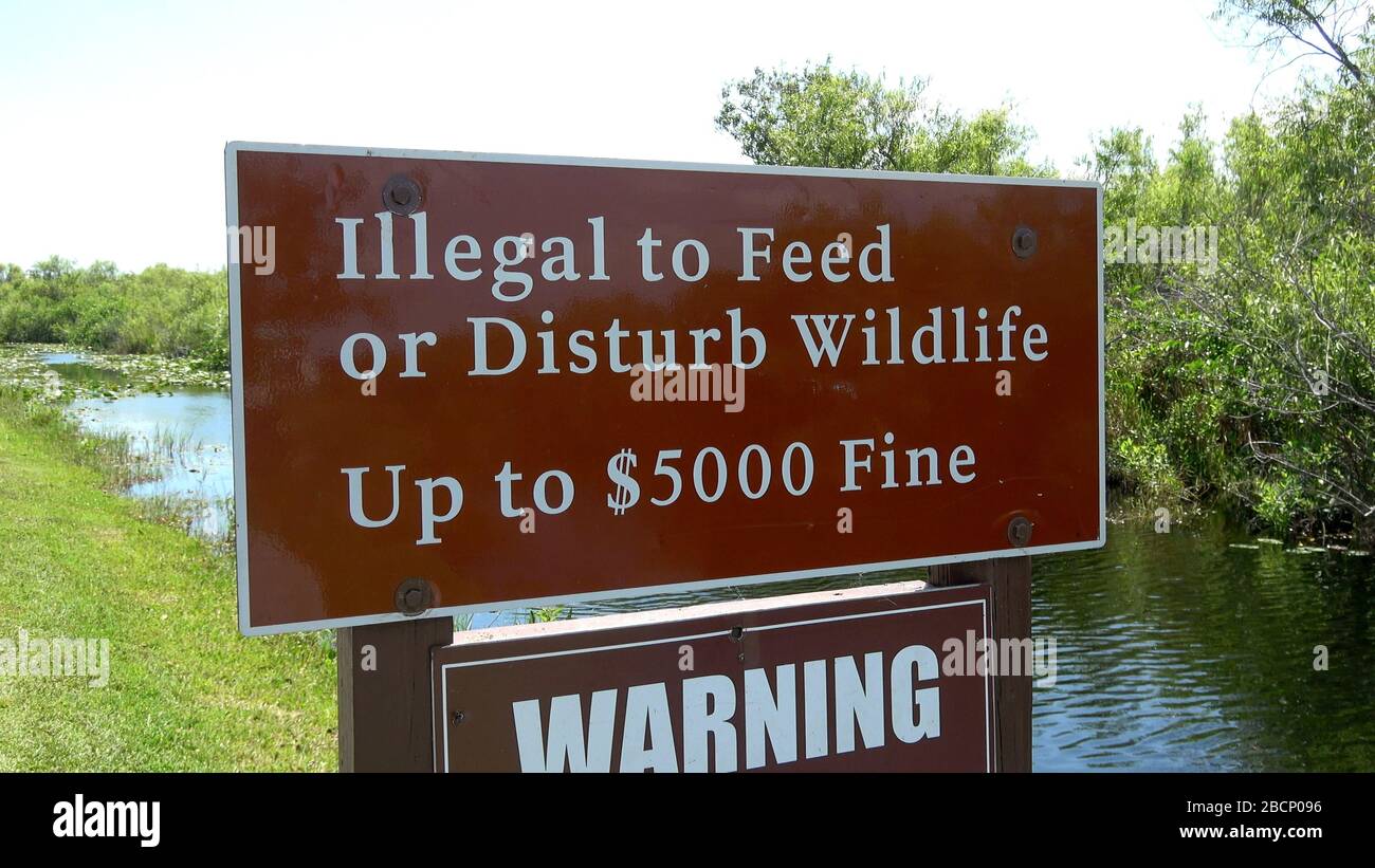 Sign Illegal to feed or disturb wildlife Stock Photo Alamy
