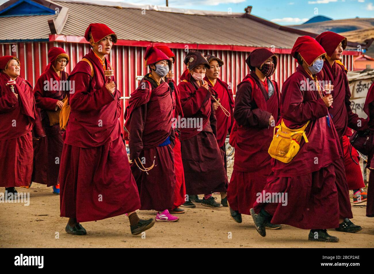 Monks and nuns returning from the mountains in the late afternoon to ...