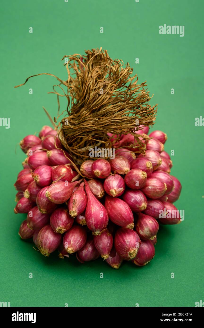 Bunch of high quality small red shallot sambar onions from India on green background Stock Photo