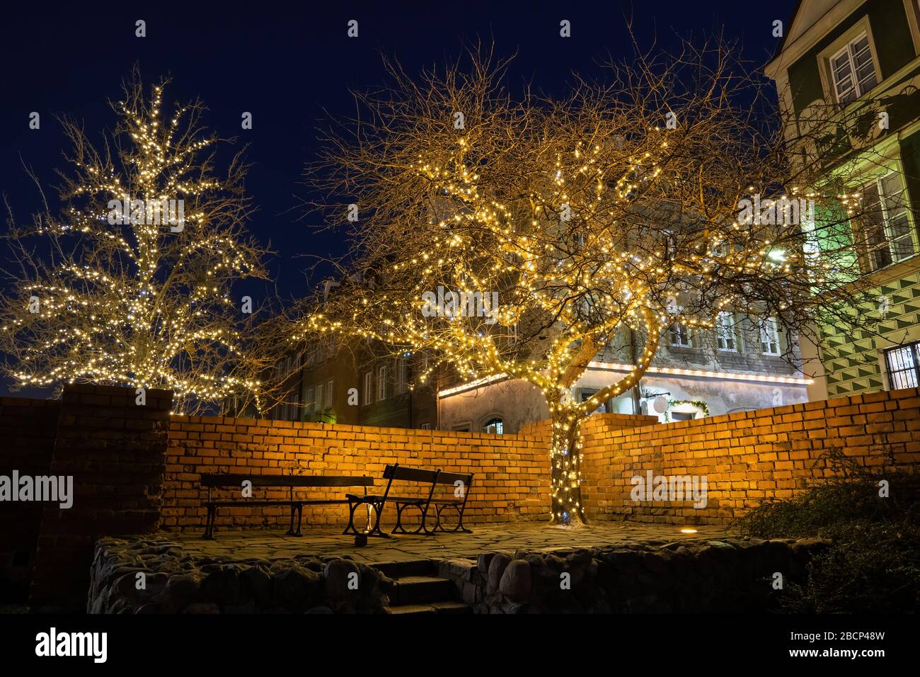 Small square with benches at night, illuminated trees during Christmas time, holiday season in Old Town of Warsaw city in Poland. Stock Photo