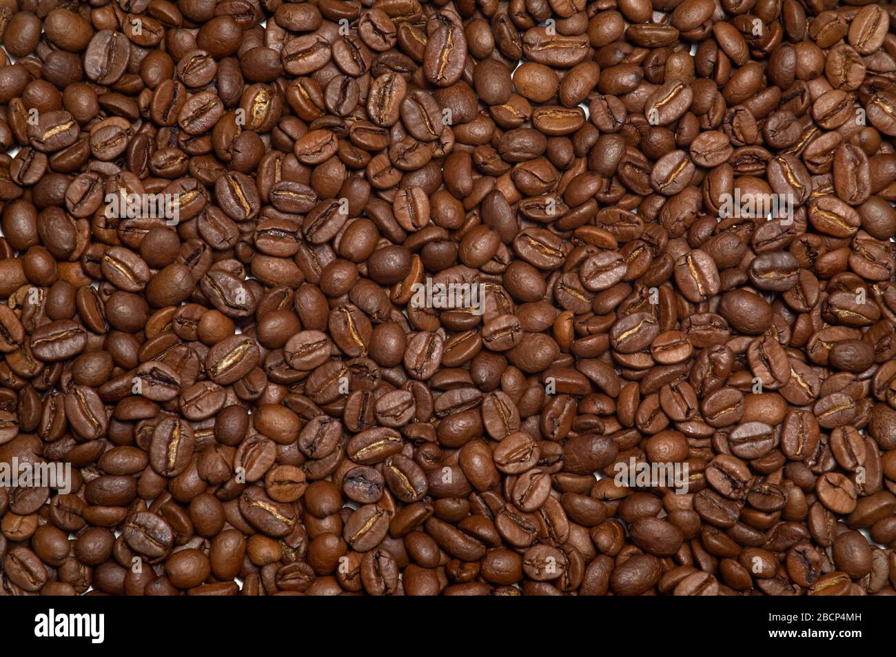 Can of beans hi-res stock photography and images - Page 13 - Alamy