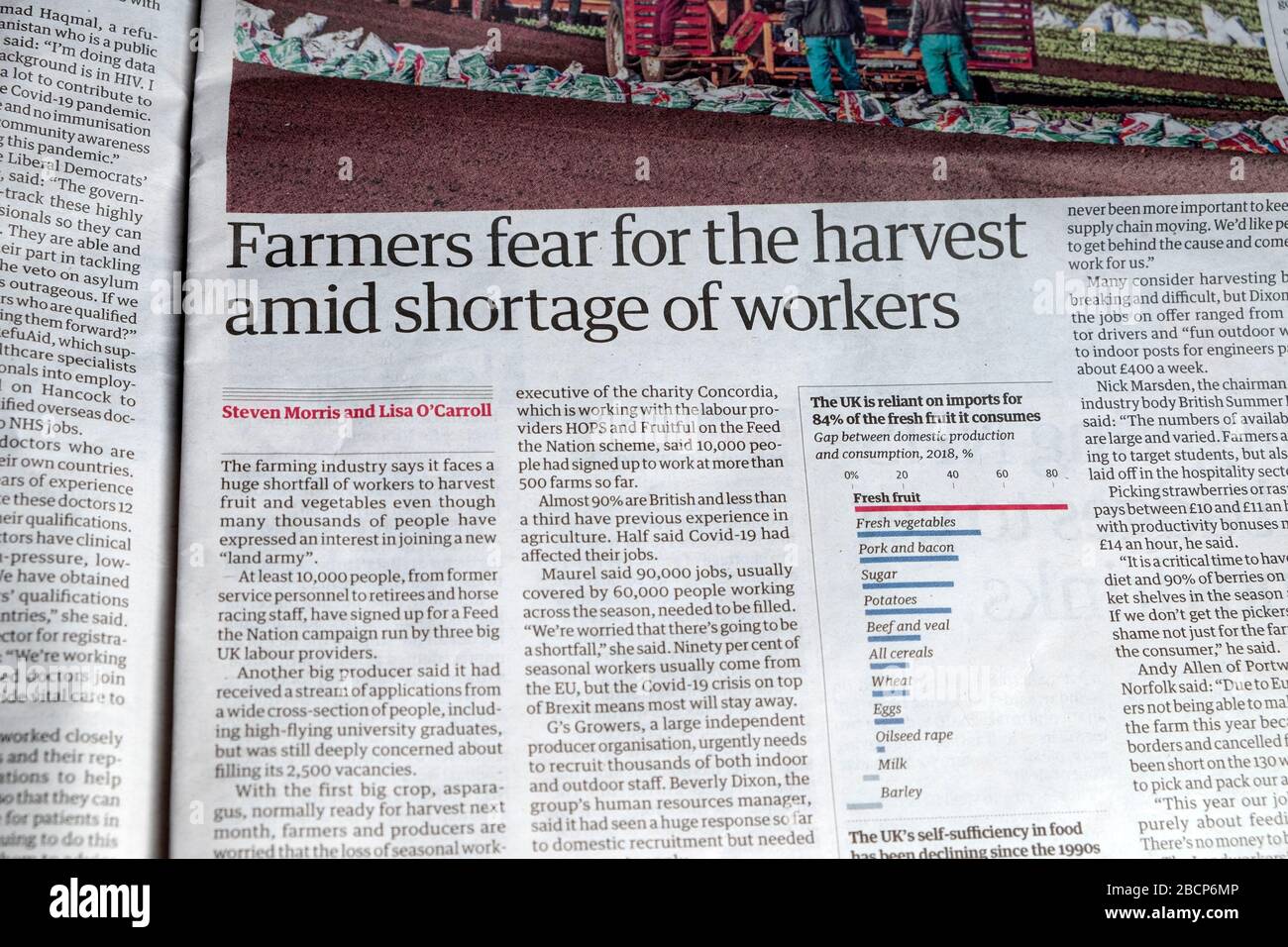 'Farmers fear for the harvest amid shortage or workers' Guardian Covid 19 Coronavirus newspaper headline inside page March 2020 Stock Photo