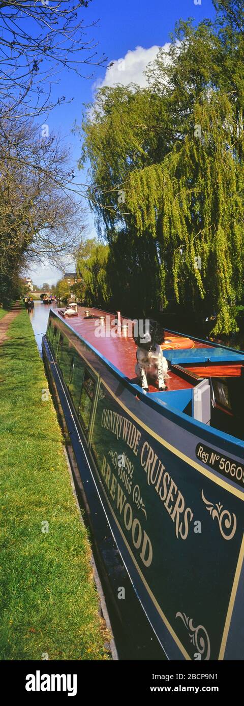 Pet dog sitting on a narrow boat along the Shropshire Union Canal. Shropshire. England. UK. Stock Photo