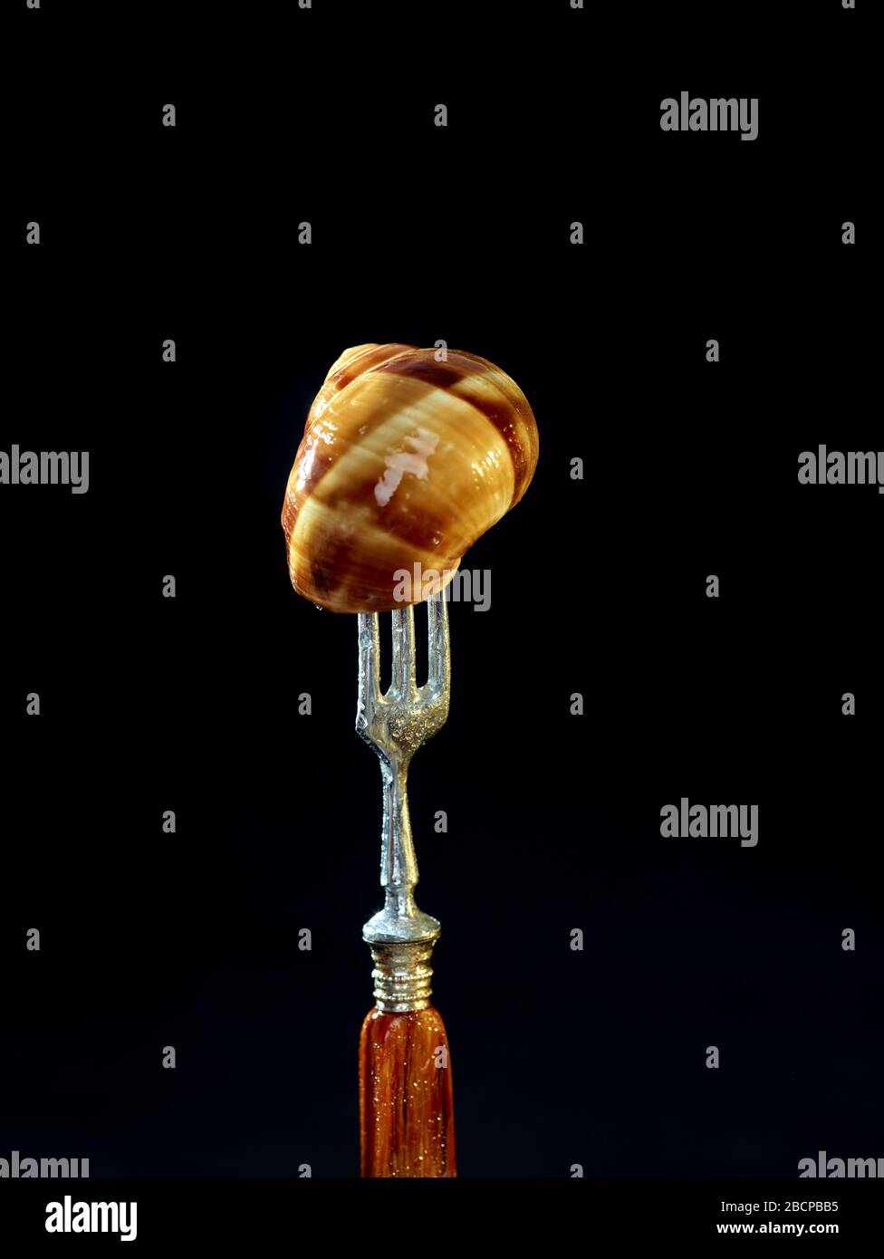 Escargots, edible land snails, on fork food stilllife Stock Photo Alamy