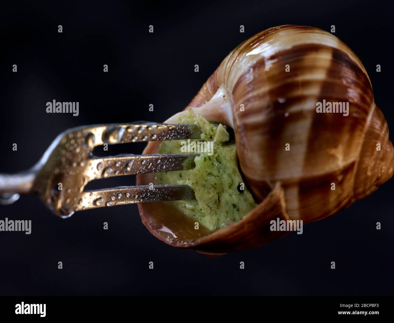 Escargot Edible Snail Cooked With Garlic Butter And Parsley In A Shell Food Still Life Stock Photo Alamy