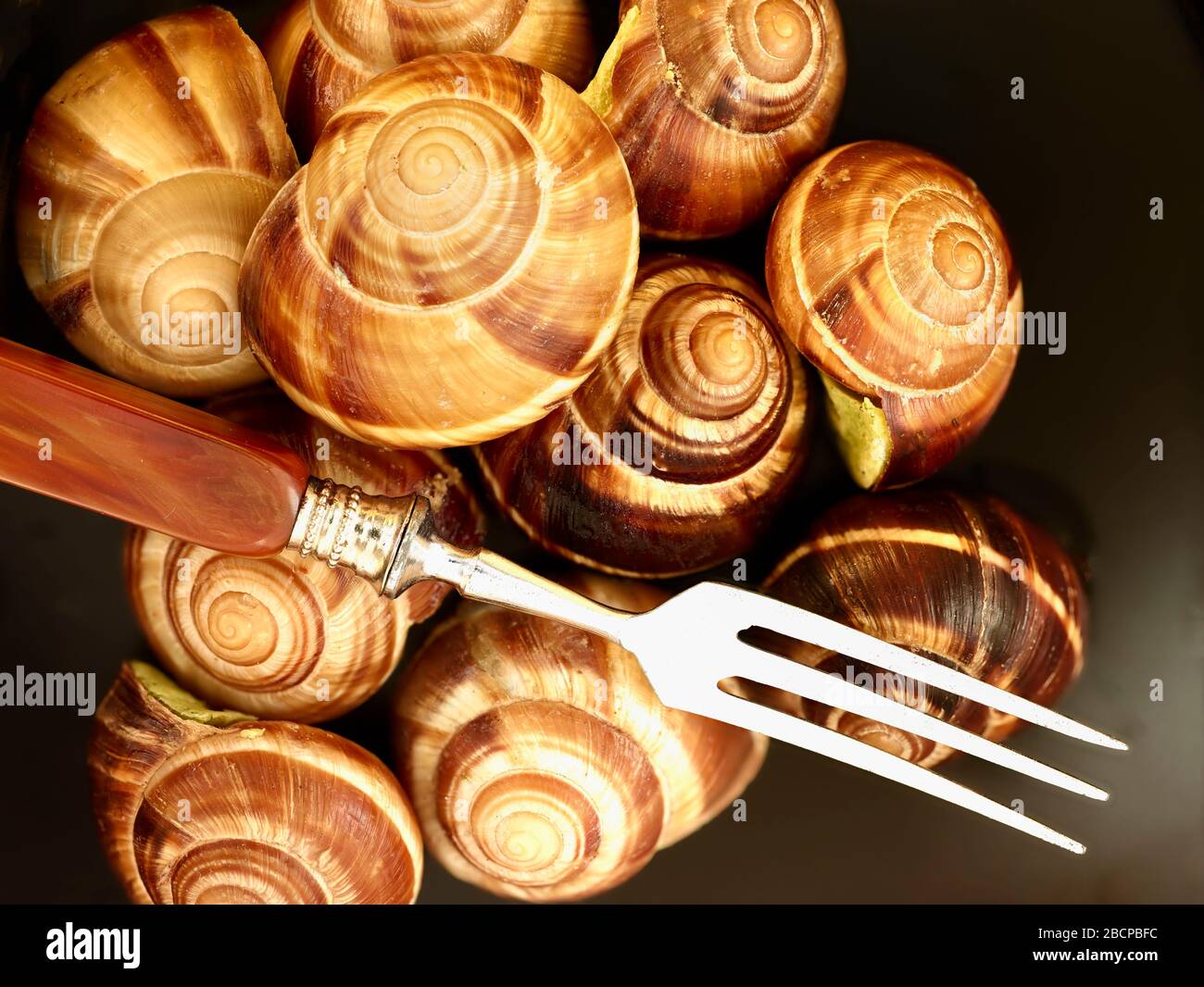 Escargot, edible snail, cooked with garlic butter and parsley in a