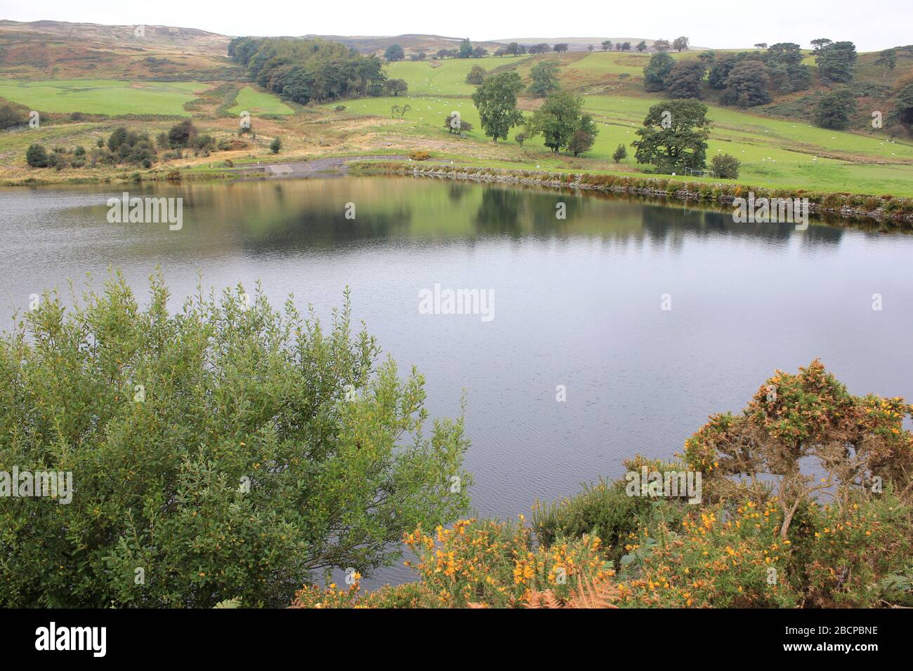 Mold wales hires stock photography and images Alamy