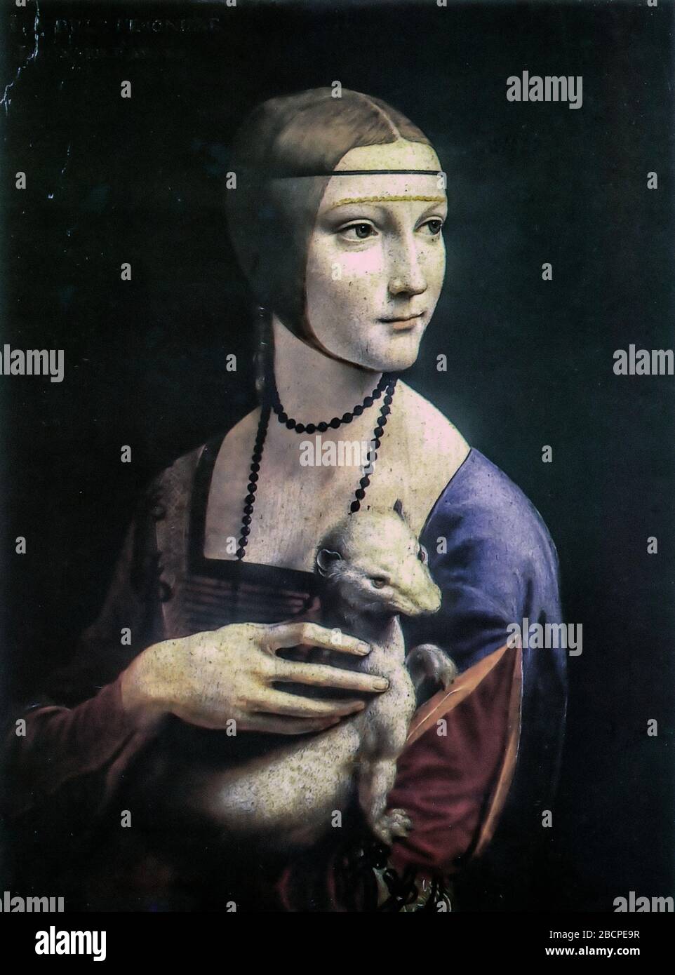 Poland Krakow Muzeum Narodowe - Leonardo Da Vinci - Lady With Ermine (Cecilia Gallerani)  - 1484 Stock Photo