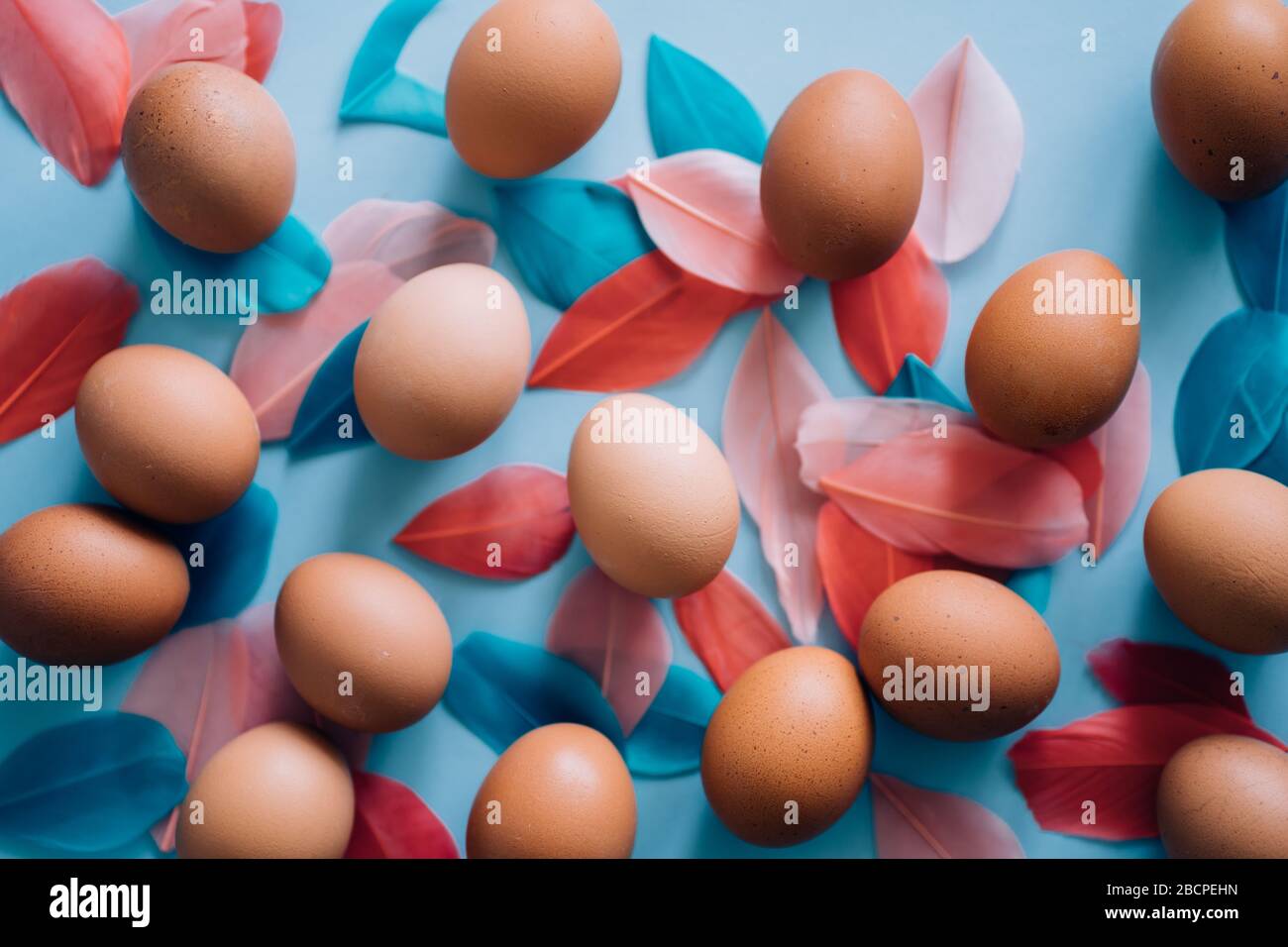 Chicken brown eggs and multicolored fluffy bird's feathers on light blue background. Happy Easter concept, flat lay composition. Top view. Stock Photo