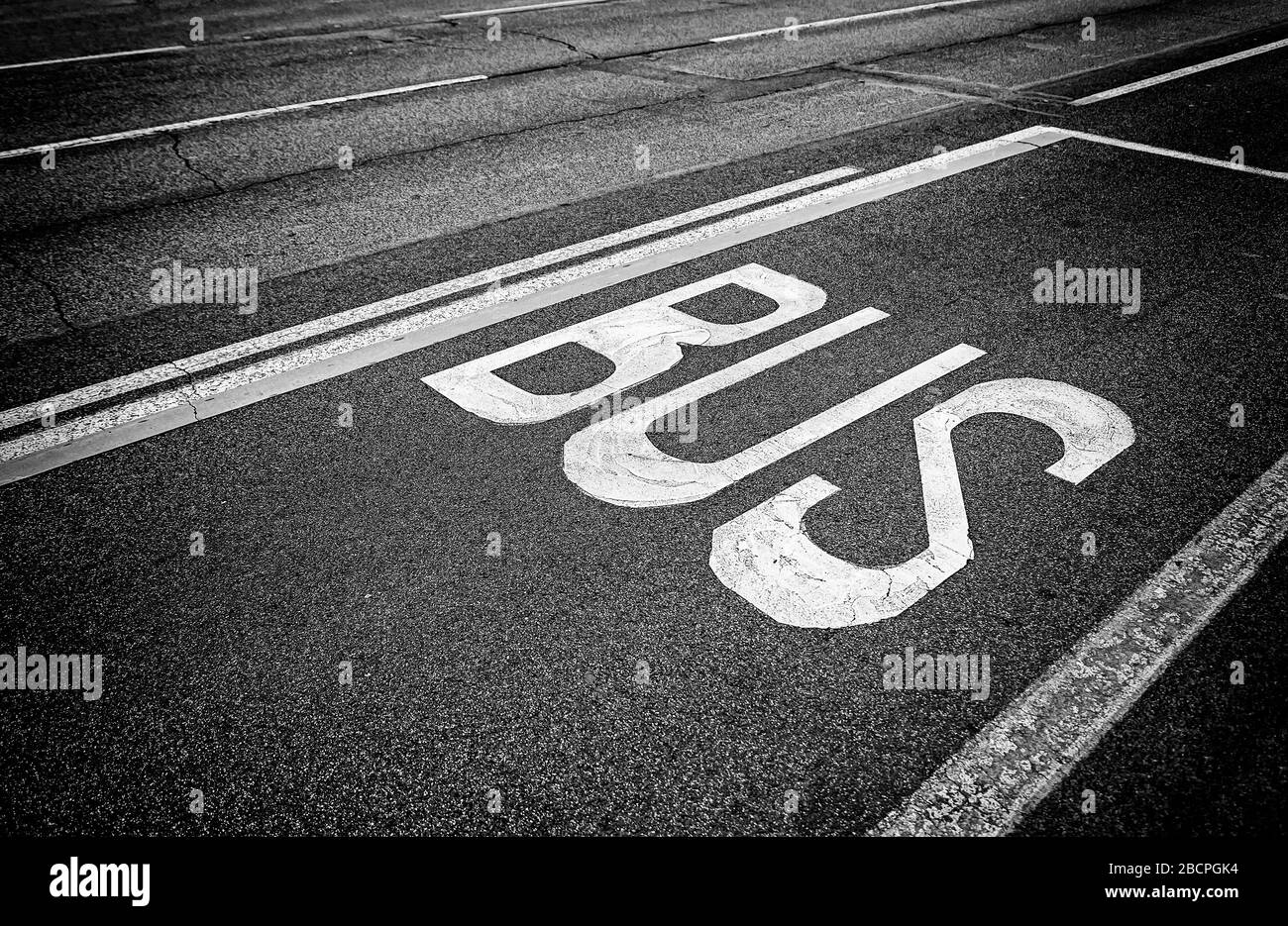 Sign on road bus, detail of a sign painted on the asphalt, information and indication signal Stock Photo