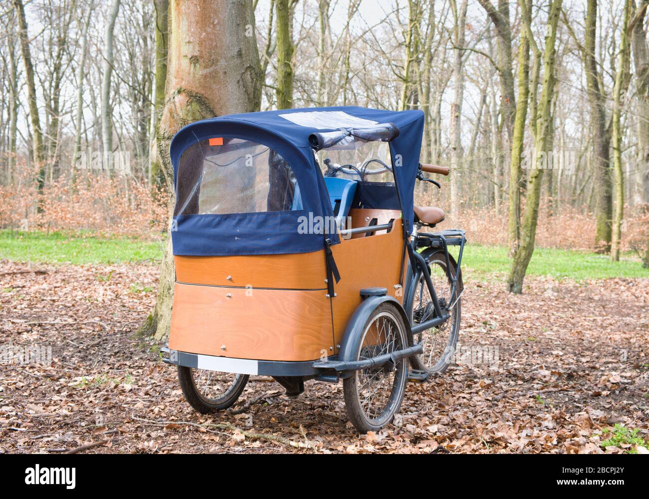 wooden cargo bike