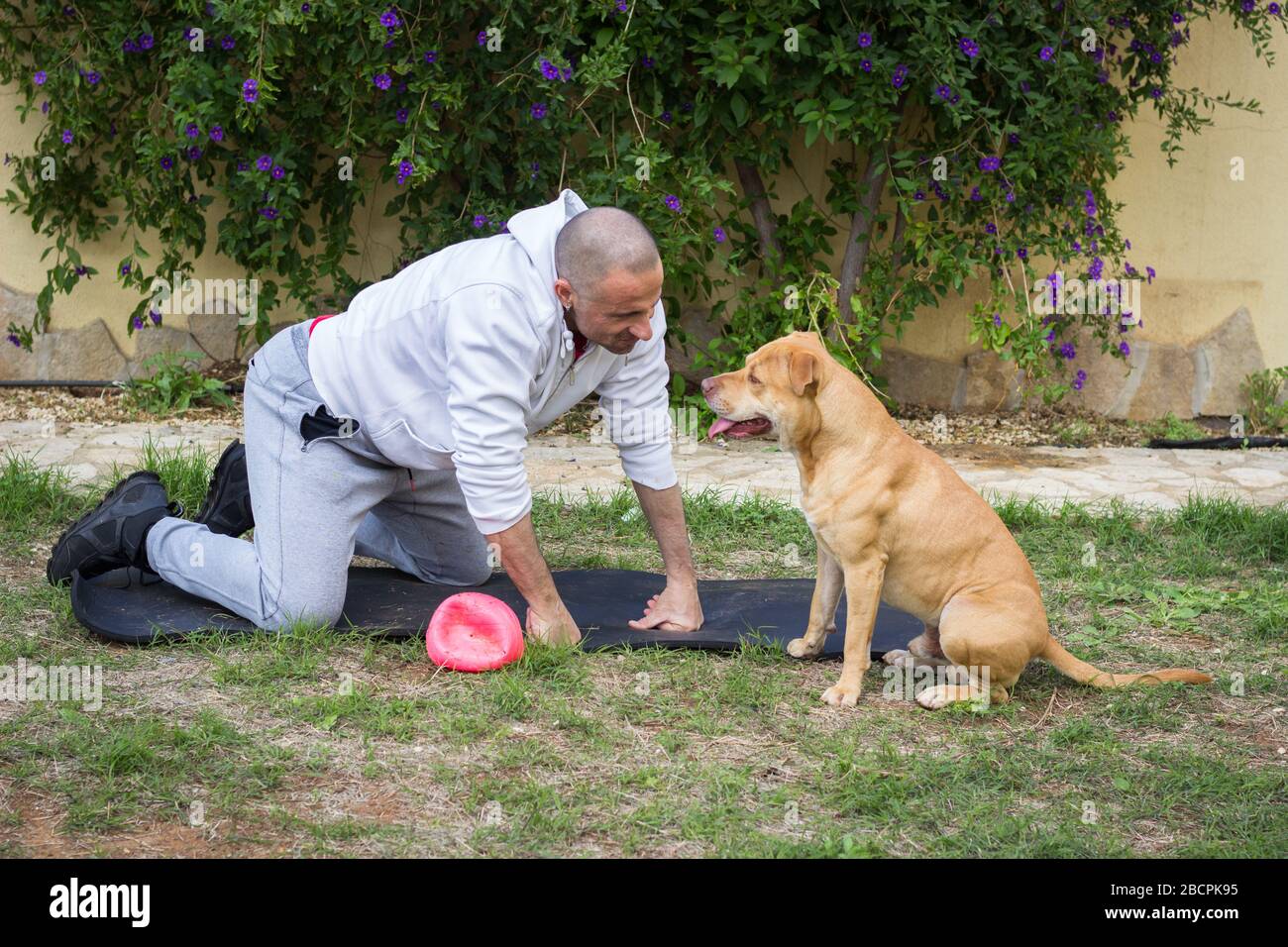 Man playing with dog outdoors in garden Stock Photo