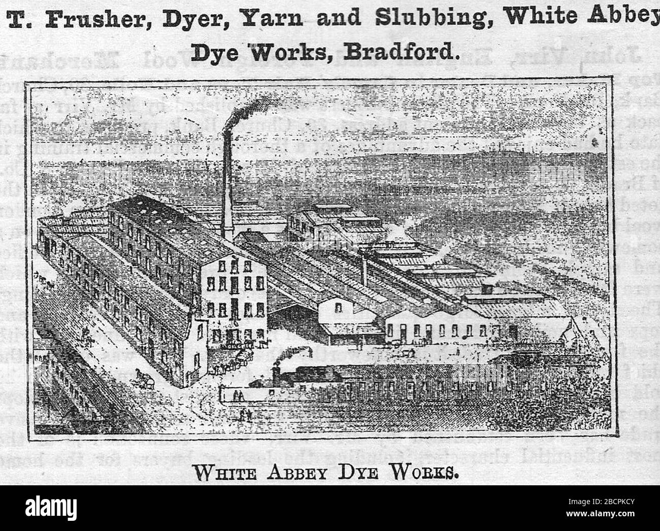 T. Frusher, Dyer, Yarn and slubbing, White Abbey Dye Works, Bradford 1893 Stock Photo