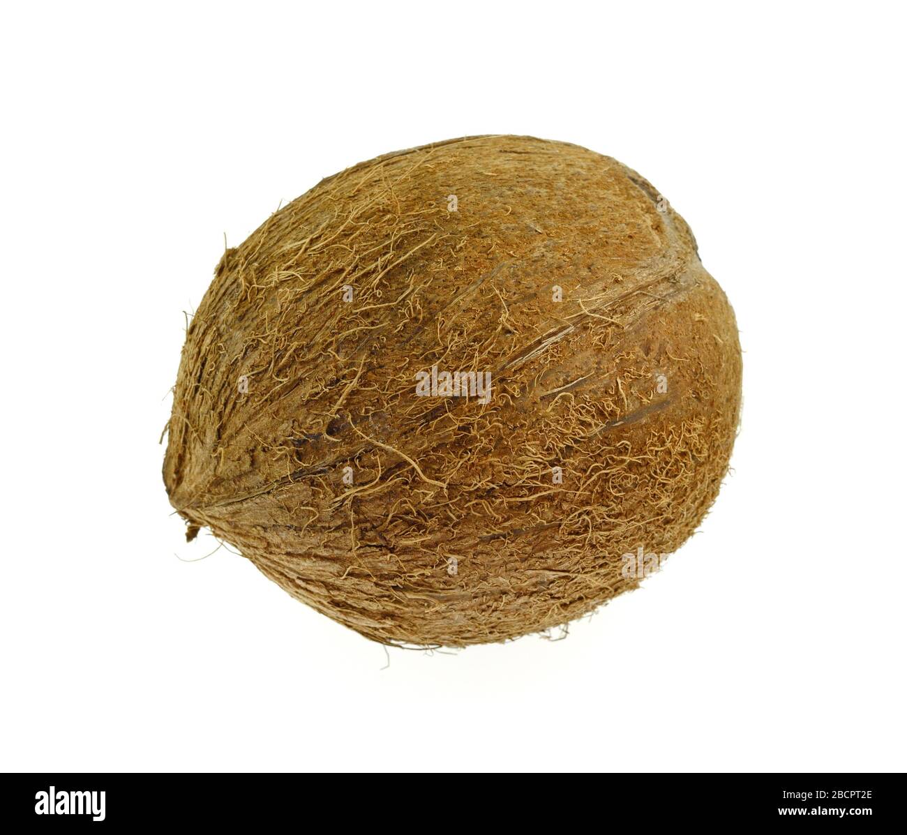 Single whole coconut isolated over the white background Stock Photo - Alamy