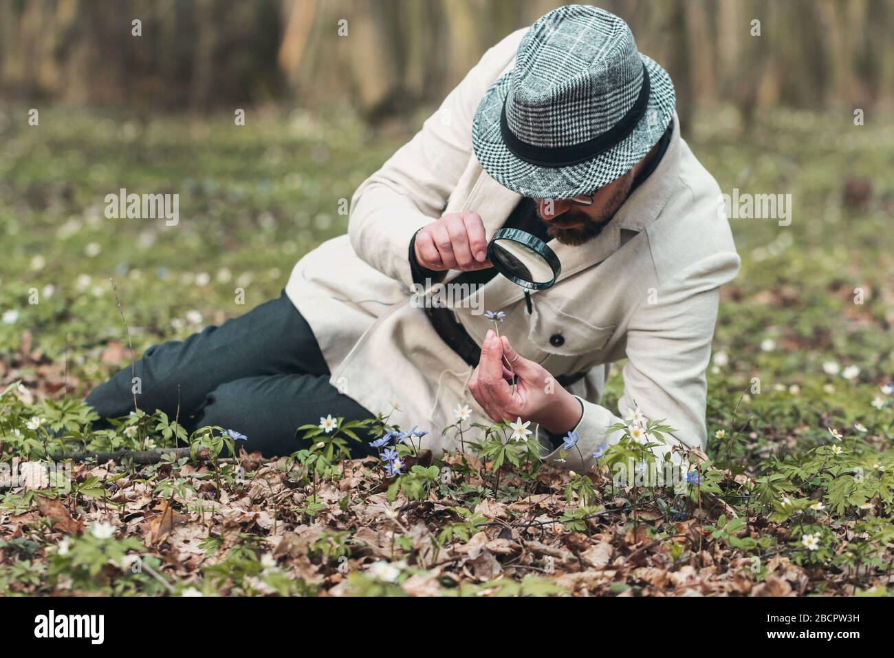 Man studying flower through magnifier Stock Photo