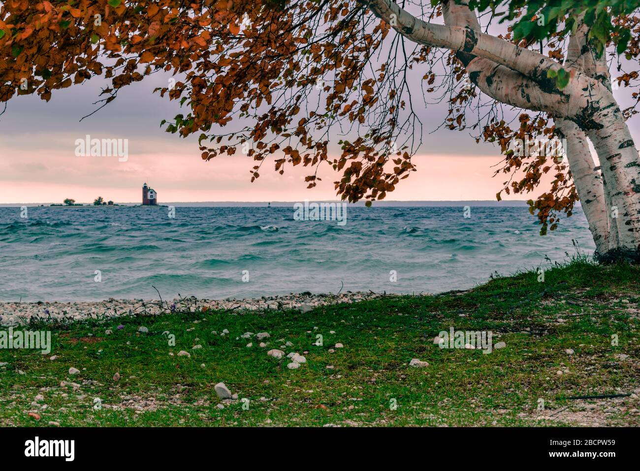 Looking under a birch tree at Round Island Lighthouse from Mackinac Island Stock Photo