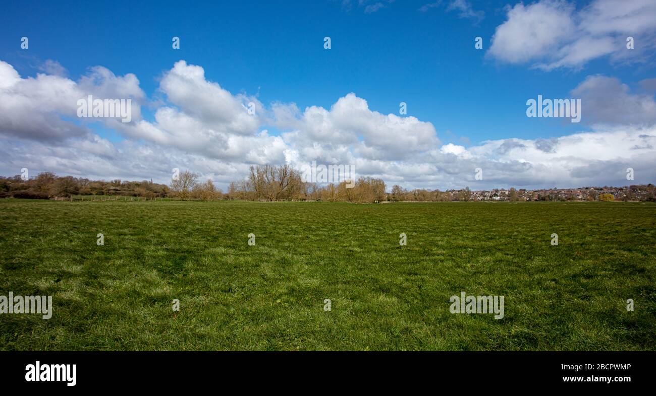 The Water Meadows at Sudbury Suffolk Stock Photo Alamy