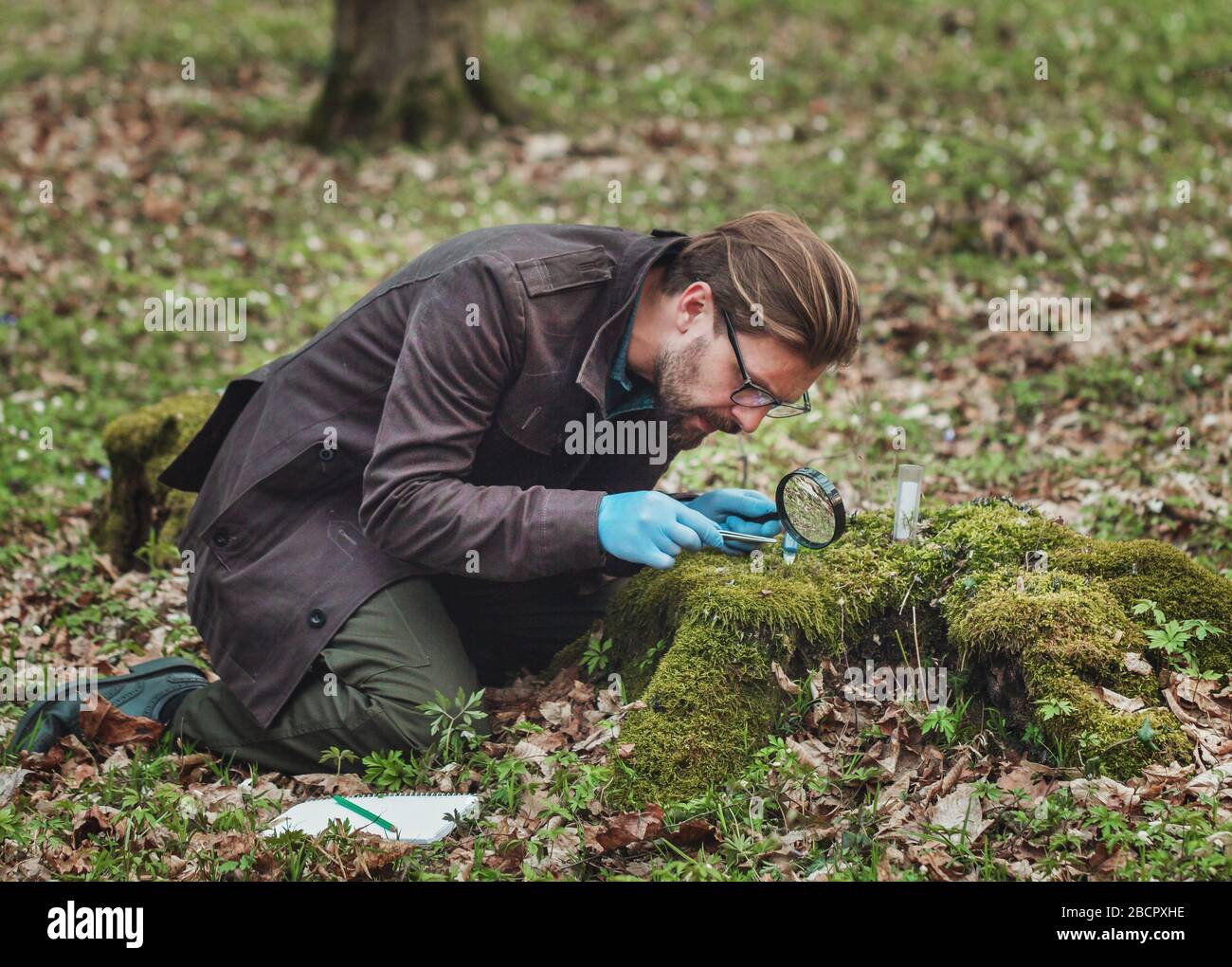 Collecting samples nature hi-res stock photography and images - Alamy