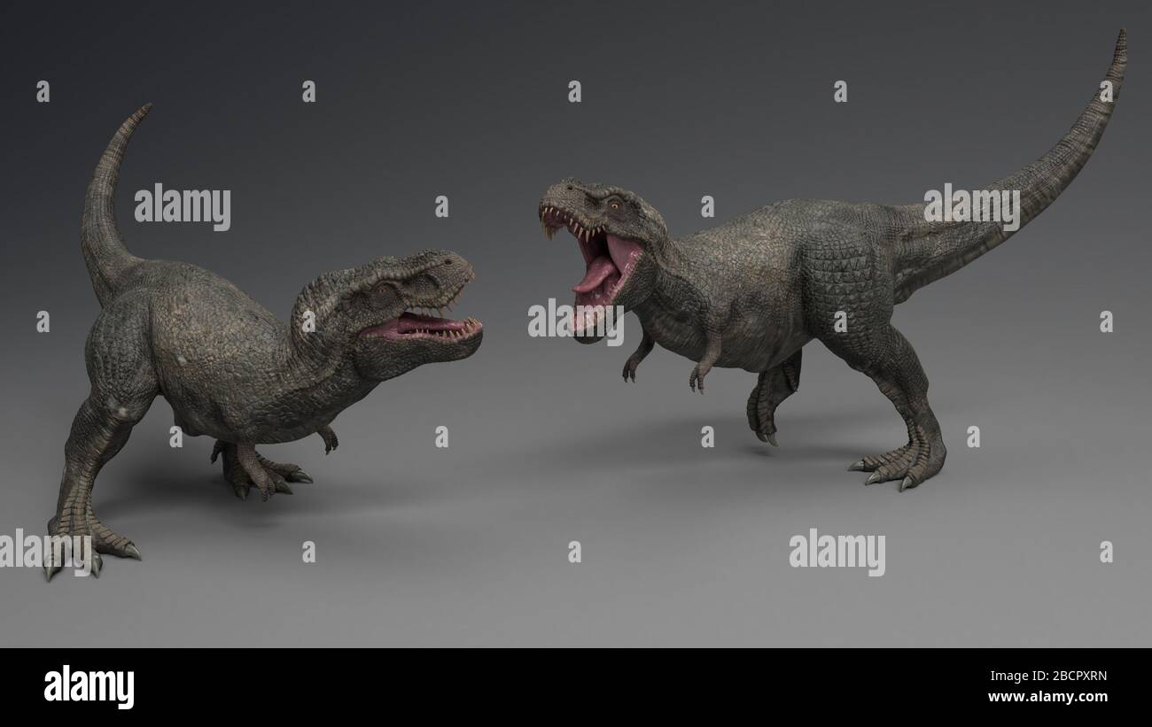 3D rendering of Dinosaur , isolated on white background, 3d rendering Stock Photo