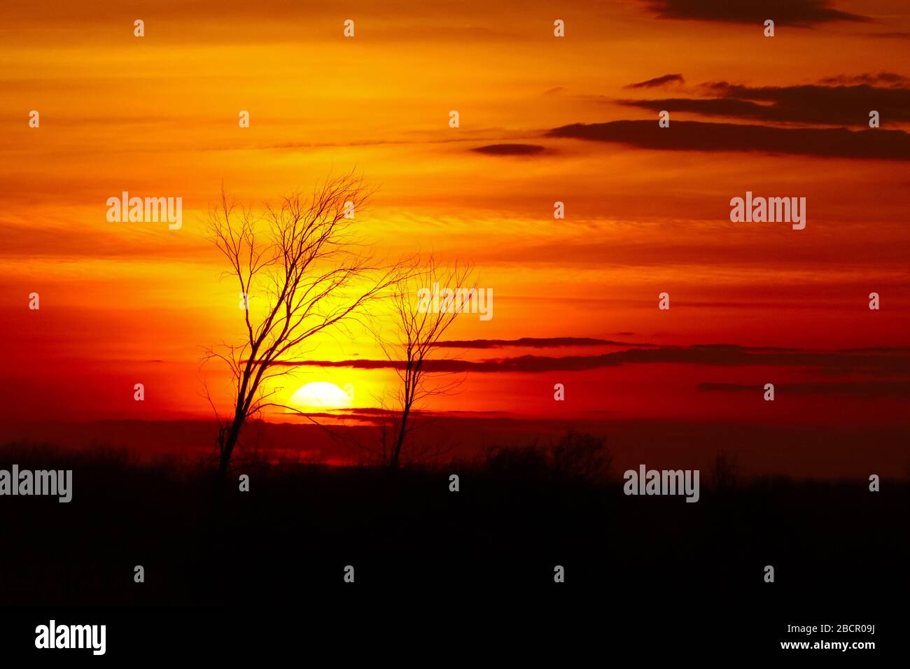 Sun setting between two trees silhouettes with deep red and orange cloudscape behind Stock Photo
