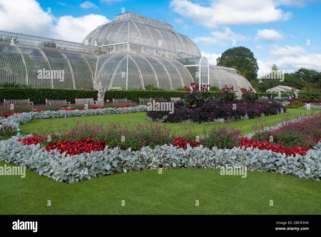 Palm House by Decimus Burton Victorian Glasshouse at Royal Botanic ...