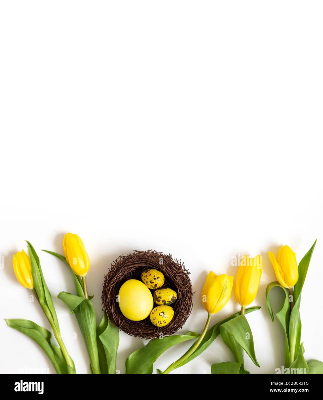 Easter yellow eggs in a nest and tulips on a white background. Easter border. Vertical orientation. Copy space, top view, flat lay. Stock Photo