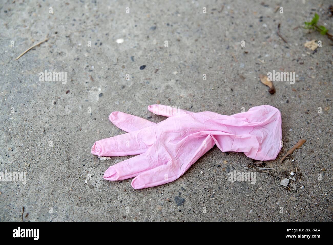 Pink medical gloves thrown in the street, on the floor Stock Photo Alamy