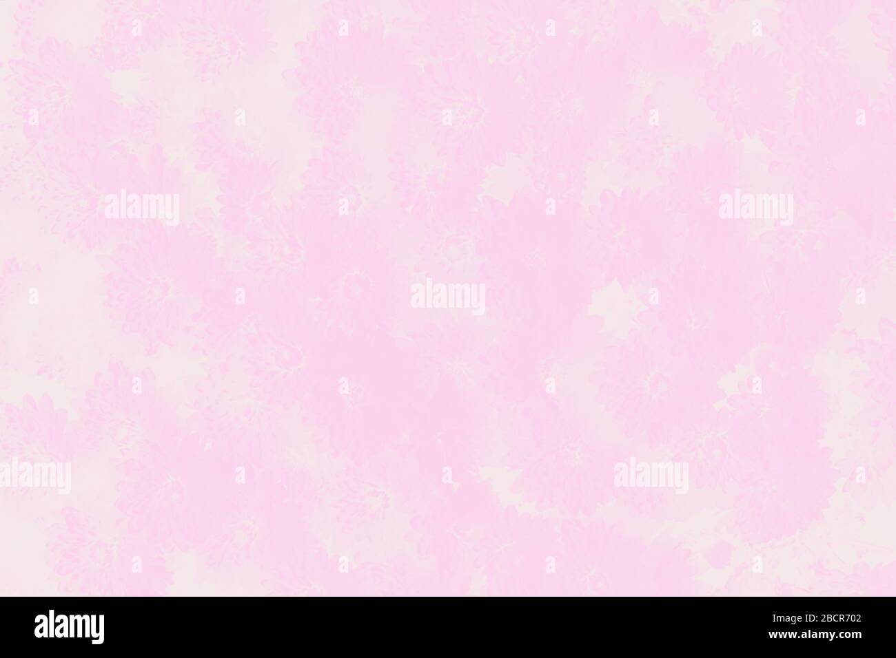 Pale pink abstract background with light delicate chrysanthemum flowers  pattern Stock Photo - Alamy, image size:1300x956