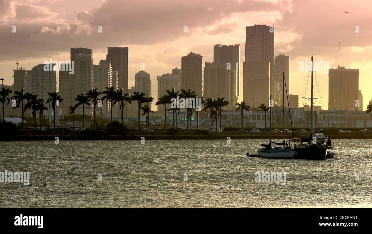 The skyline of Miami Downtown at sunset Stock Photo