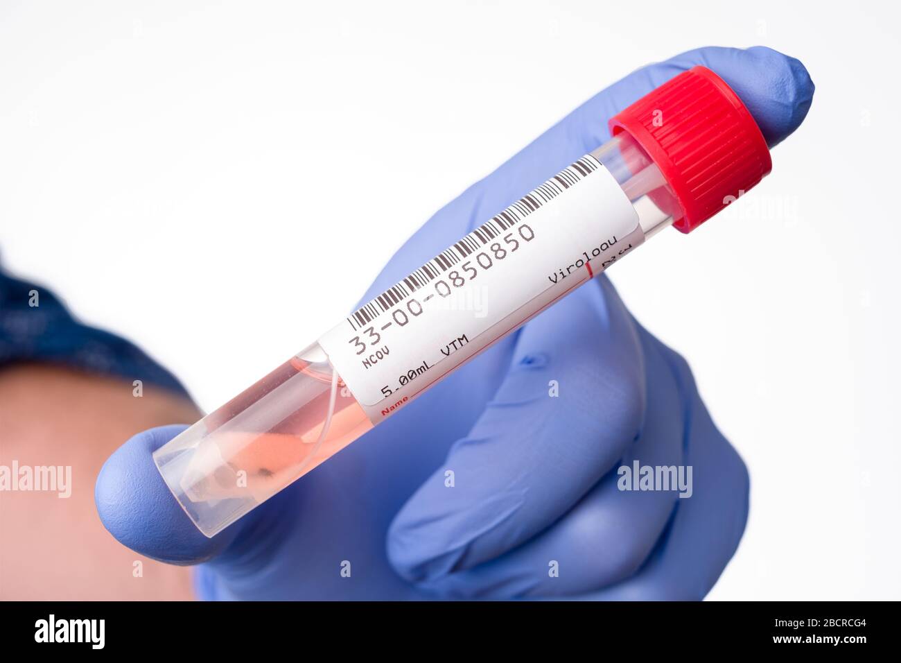 Real coronavirus SARS-CoV-2 test nasal and throat swab kit to test a patient showing symptom of COVID 19. Inside of the tube with of feeding medium fo Stock Photo