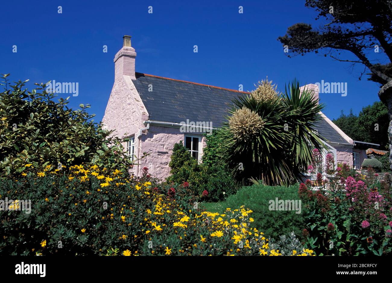 Typical houses uk channel islands hires stock photography and images