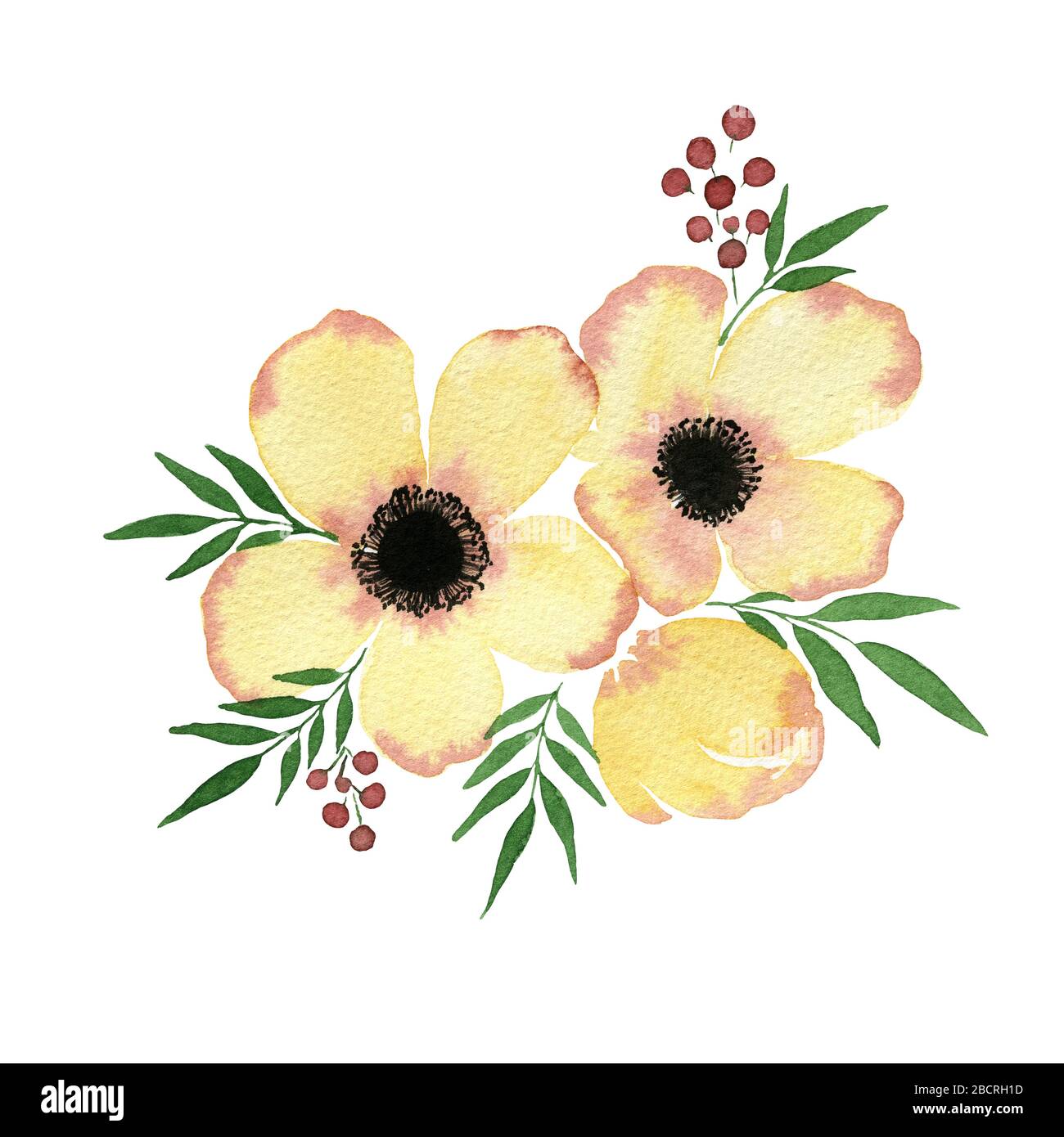 watercolor yellow flower springtime bouquet isolated on white, hand painted abstract anemone