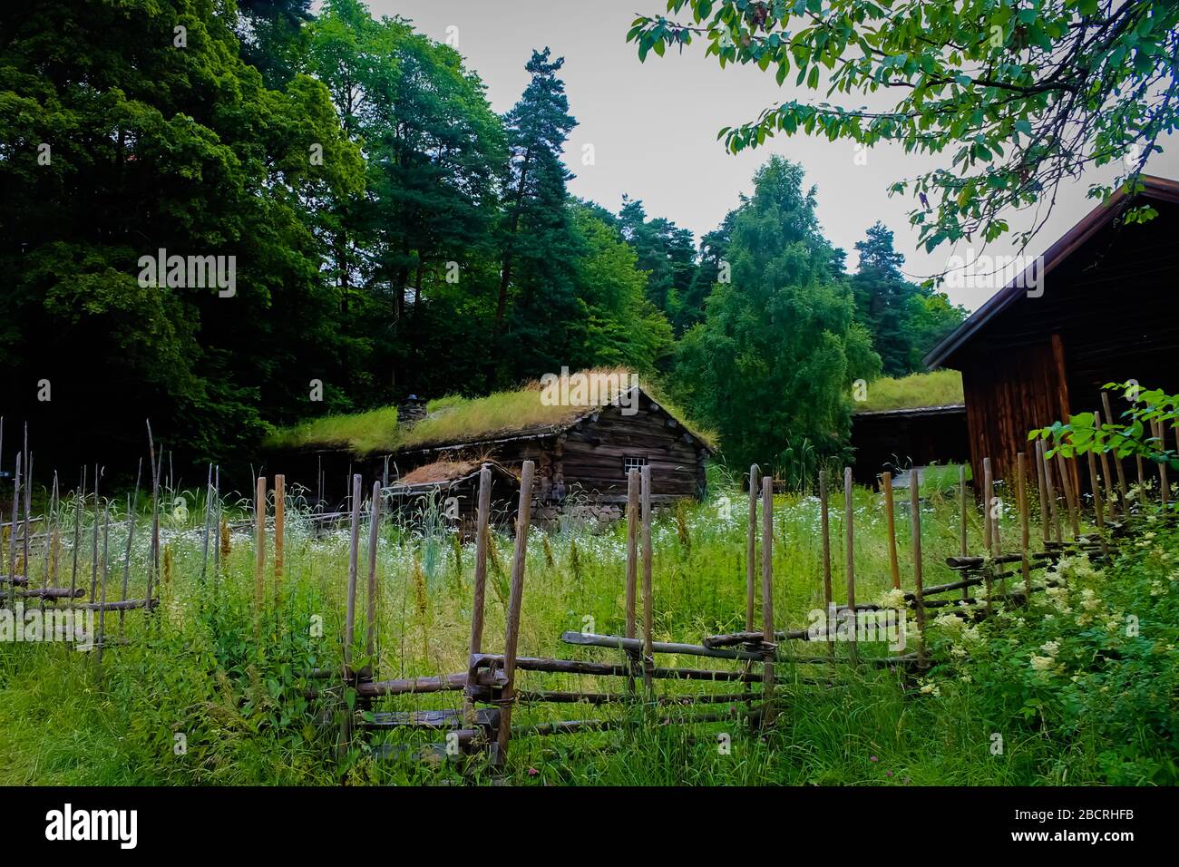 Ancient viking homes Stock Photo - Alamy