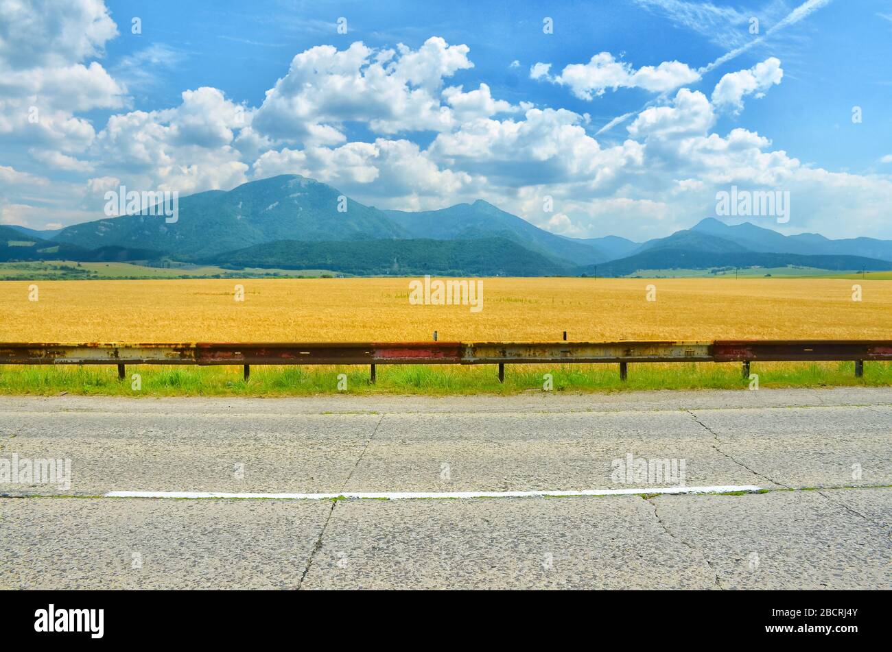 Parts of rye hi-res stock photography and images - Alamy