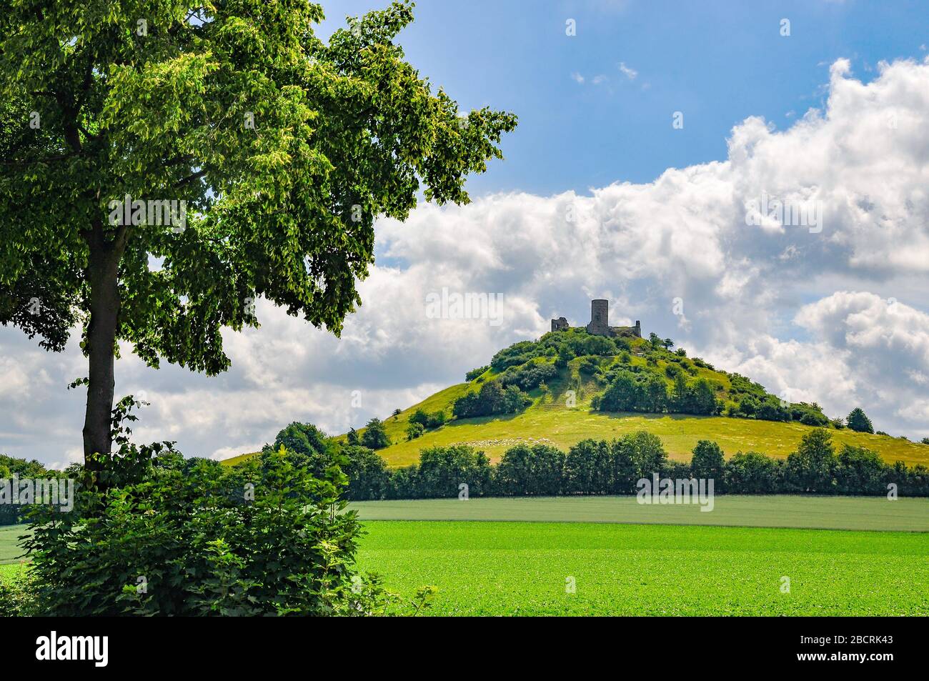 ruins of ancient robber knight castle desenberg at warburg, germany Stock Photo