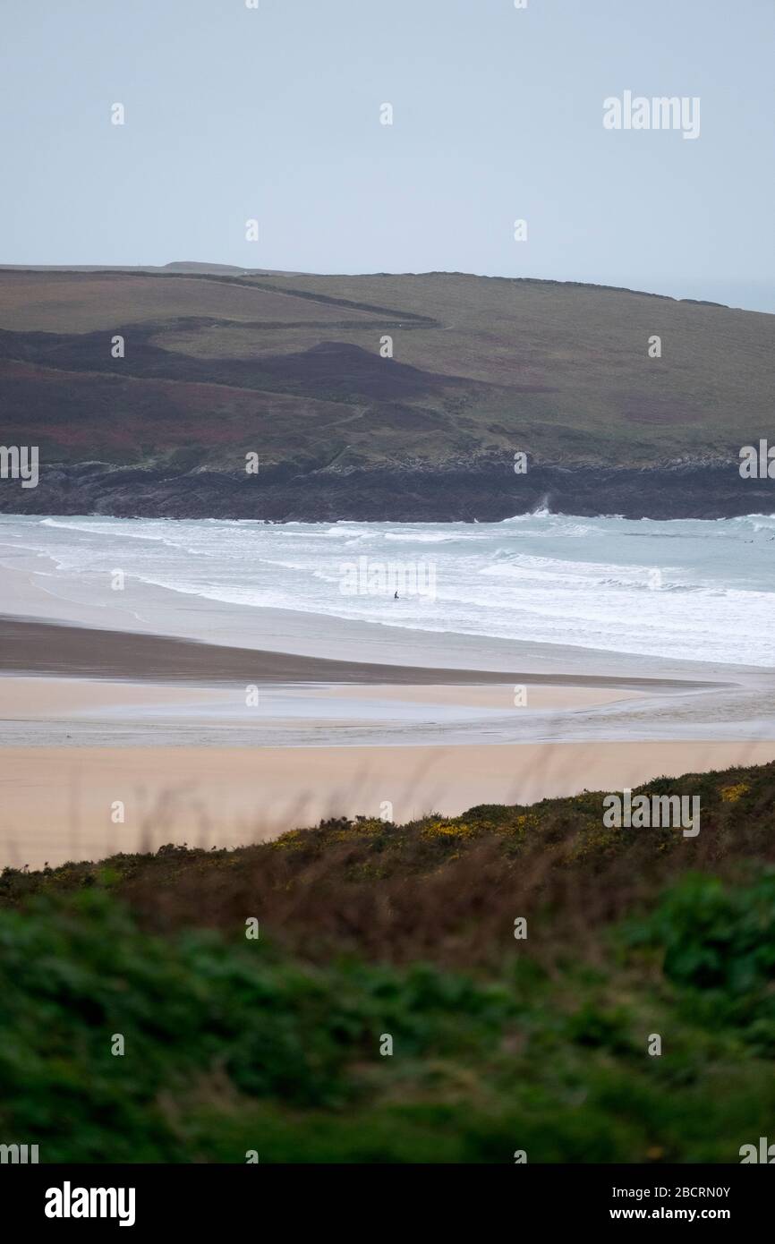 A surfer in the sea at Crantock beach near Newquay, Cornwall. Stock Photo