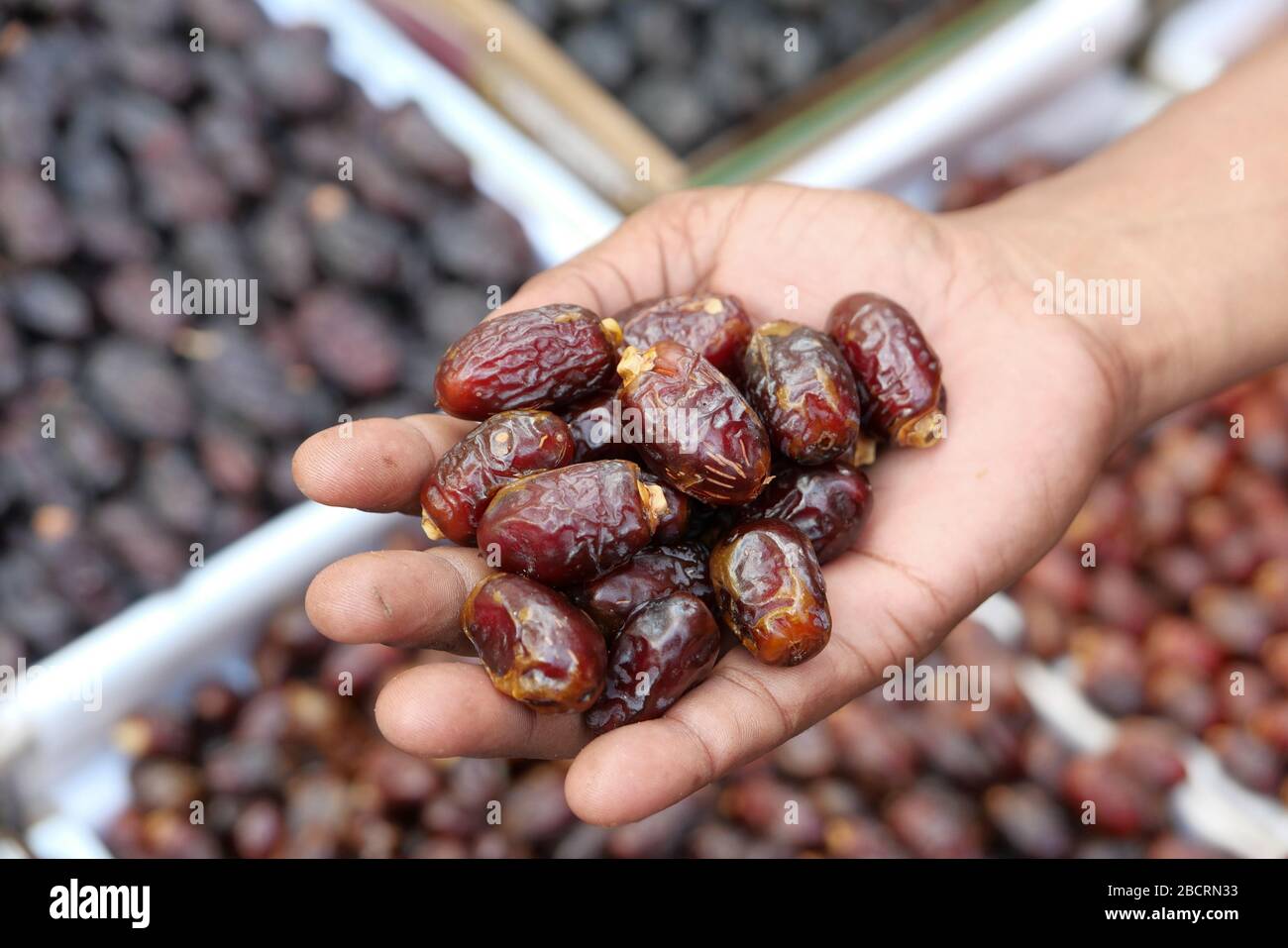Close up of date fruit on man hand. Stock Photo