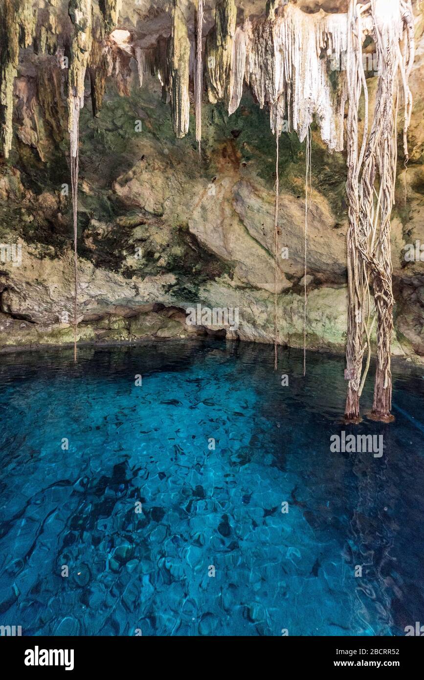 Cenotes maya hi-res stock photography and images - Alamy